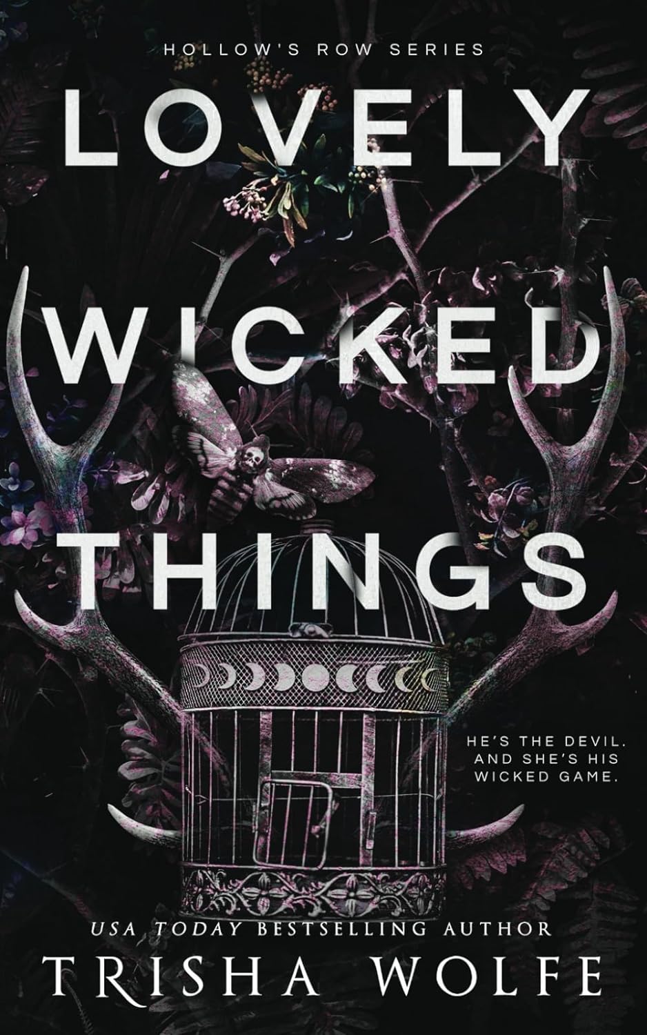 Lovely Wicked Things (Hollow's Row Book 3)